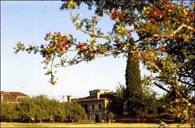 Casa Grande de Rosende